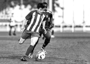 _DSC2977.l.-for-my-web