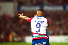 1_DSC4337_3881-copia